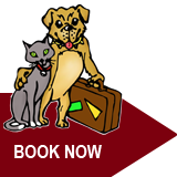 Book now with Dixans Kennels & Cattery