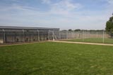 Kennels with space to play